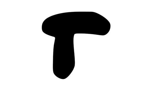 Rough Tough Fat Felt Tip Mono T: A Designer Review