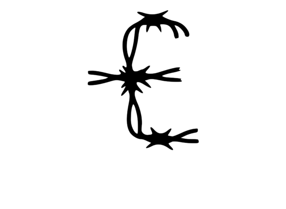 Sharp Barbed Security Wire Mono £