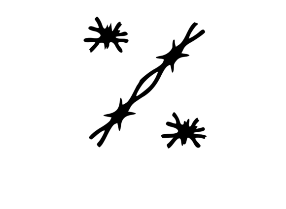 Sharp Barbed Security Wire Mono Percent