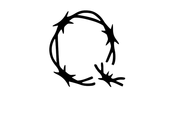 Sharp Barbed Security Wire Mono Q