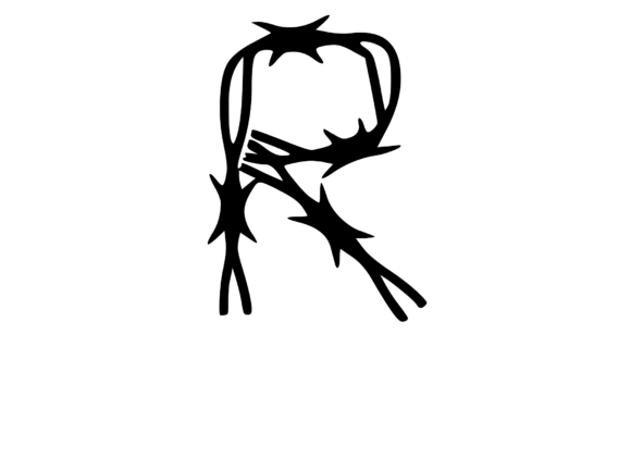 Sharp Barbed Security Wire Mono R