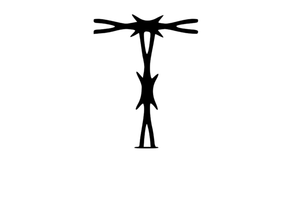 Sharp Barbed Security Wire Mono T