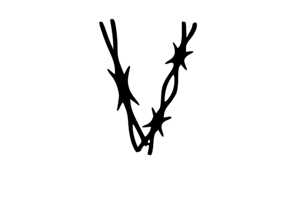 Sharp Barbed Security Wire Mono V